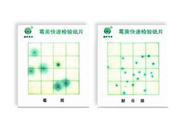 霉菌、酵母菌測試片